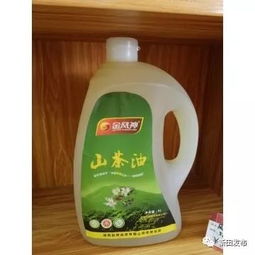 新田縣農(nóng)產(chǎn)品電商零售額突破八千萬(wàn)，食用農(nóng)產(chǎn)品零售領(lǐng)跑市場(chǎng)