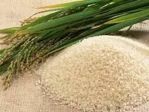 新規出臺！農業部明確 無此證不得銷售食用農產品