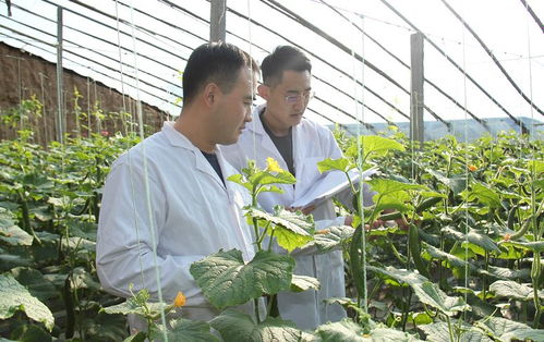 安丘百名檢測員一線把關，筑牢“舌尖安全”防護網